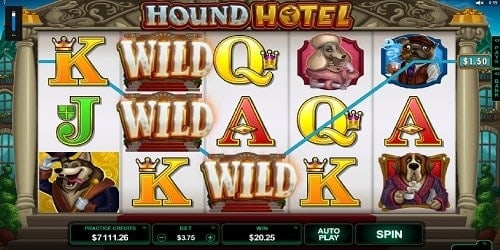 Hound Hotel Slots Game